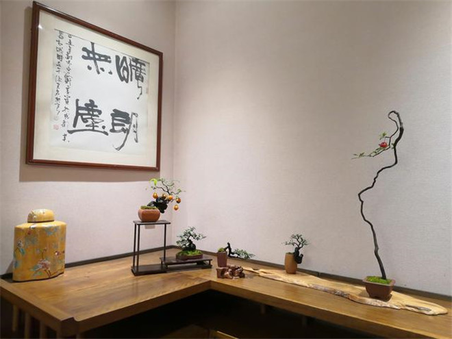 第八次中日韩领导人会议在蓉举行，四川非遗精彩亮相